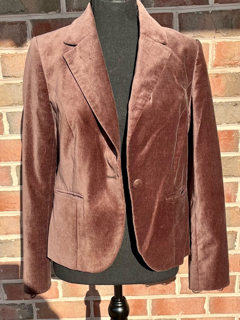 Apostrophe Brown Velvet Blazer Jacket Leopard Print Lining Petite 10P Pockets